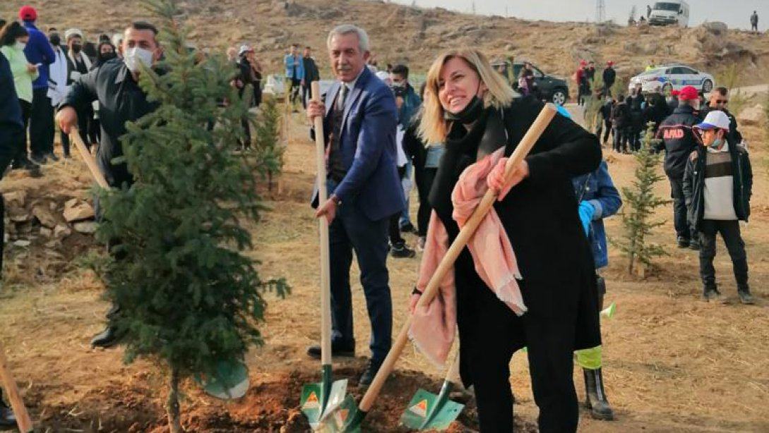 Milli Ağaçlandırma Günü Kapsamında Ağaç Dikme Etkinliğine Katılım Sağlandı